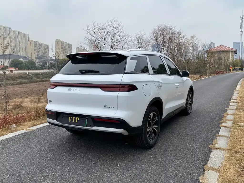 BYD Pro New Energy 2025 из CN, фото 5