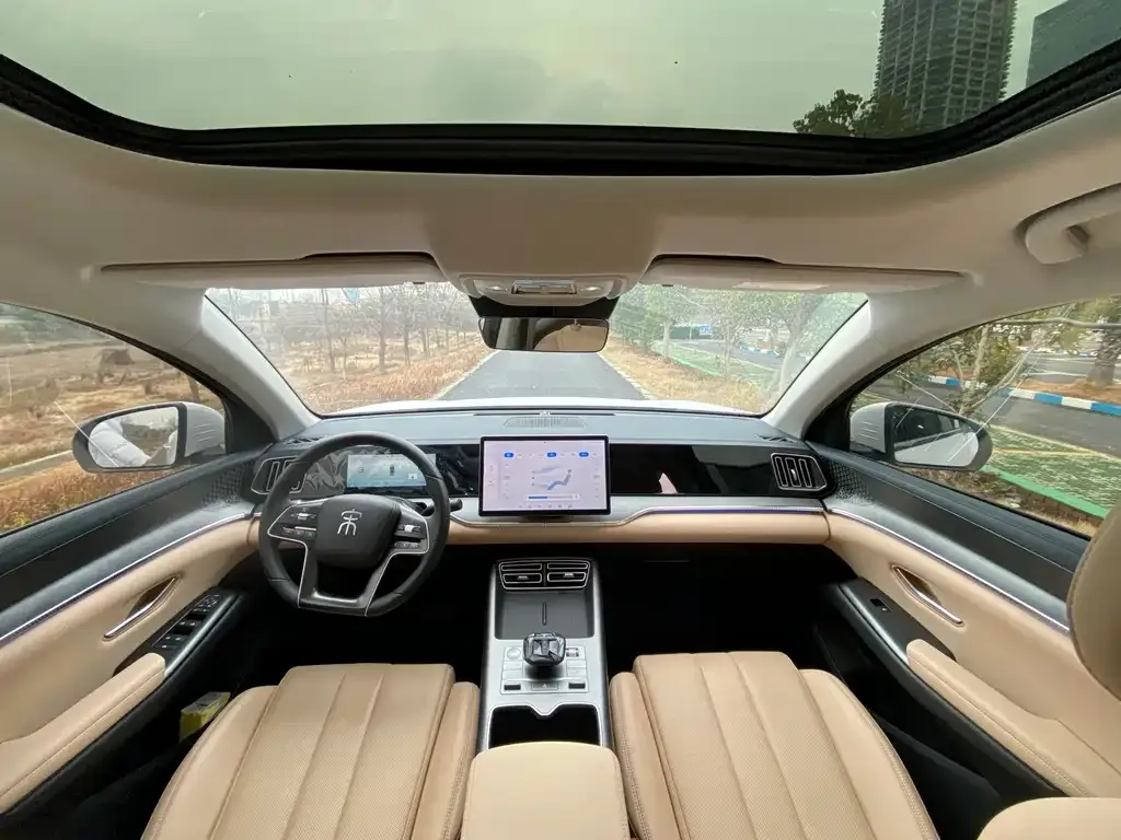 BYD Pro New Energy 2025 из CN, фото 10