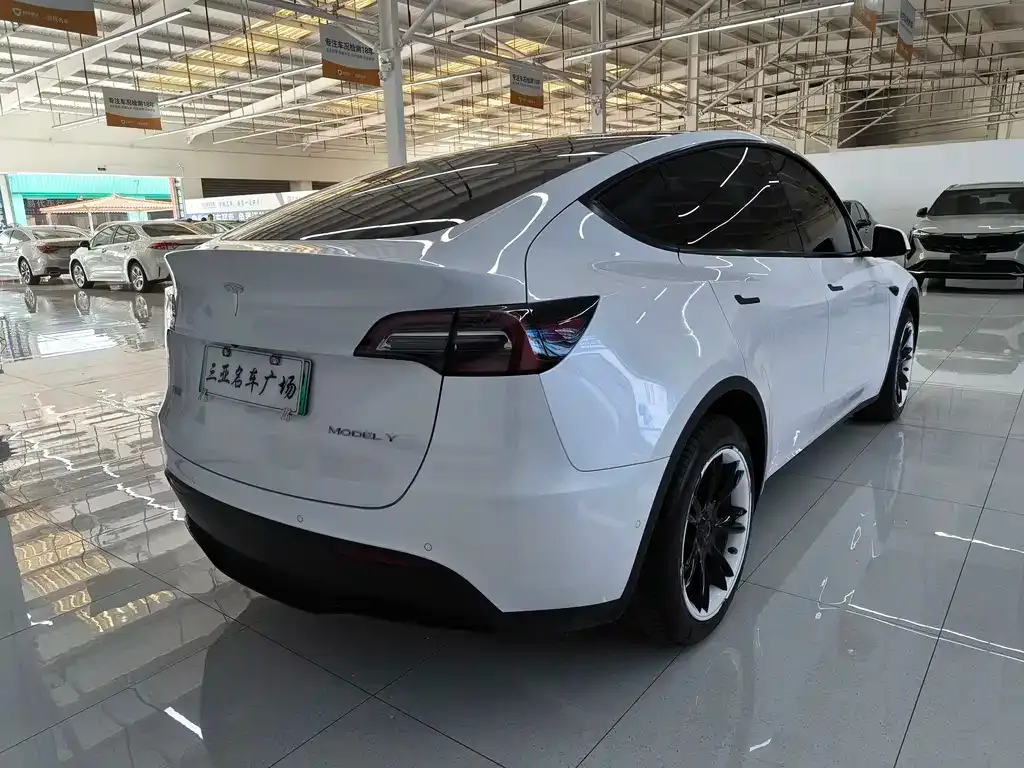 Tesla Model Y 2023 из CN, фото 6