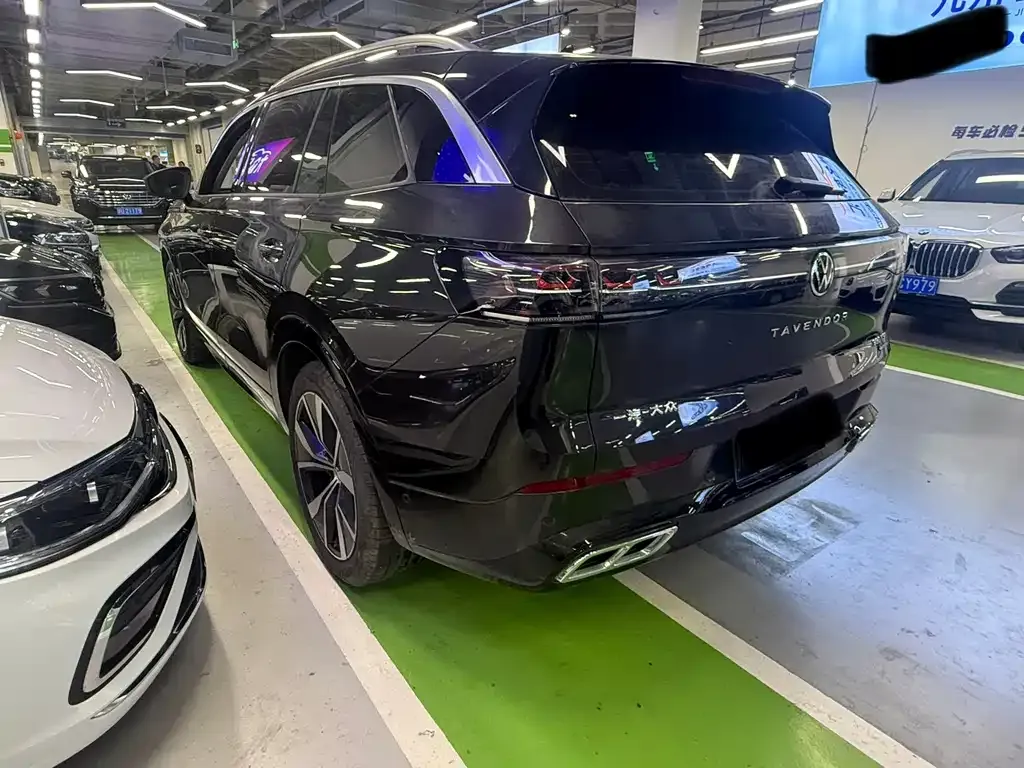 Volkswagen Tavendor 2024 из CN, фото 6