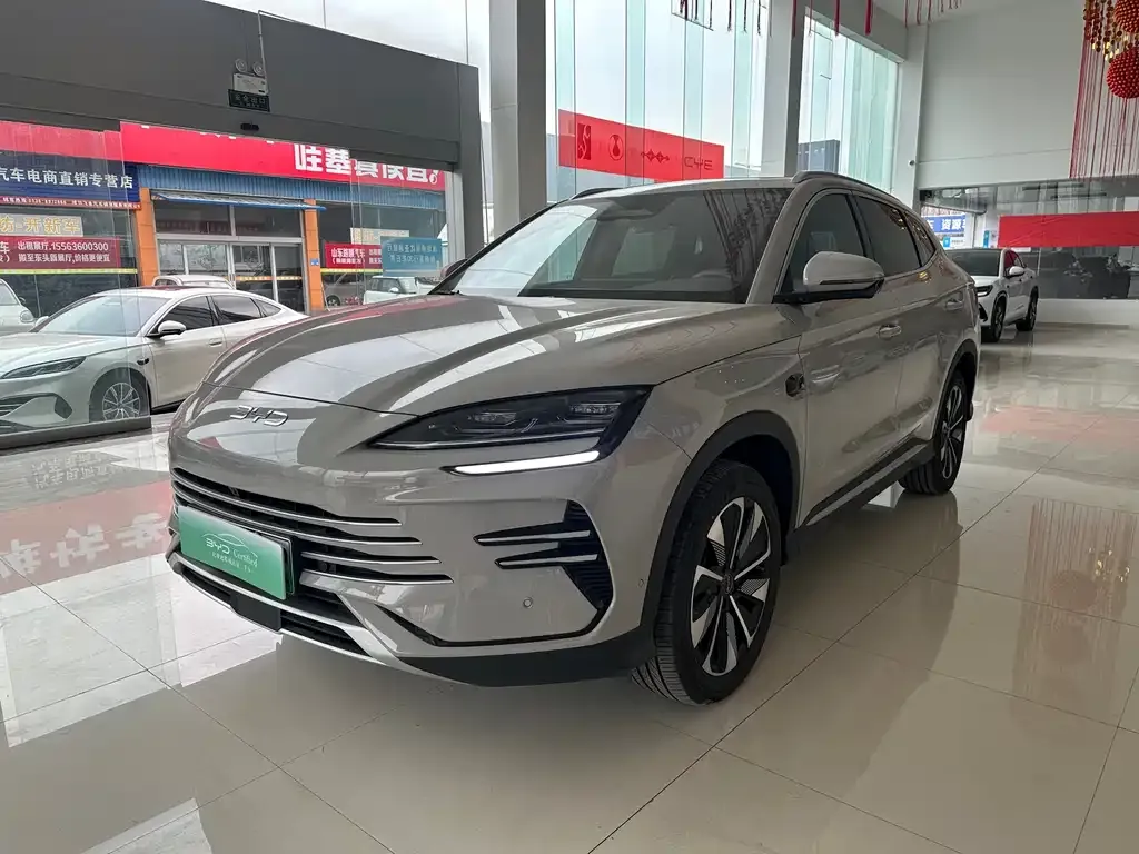BYD PLUS New Energy — фото 1