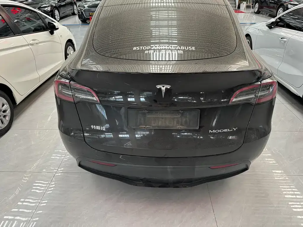 Tesla Model Y — фото 9