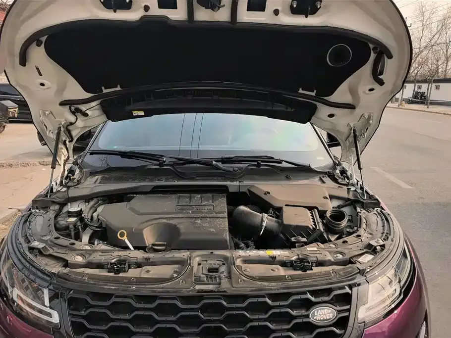 Land Rover Evoque 2021 из CN, фото 8
