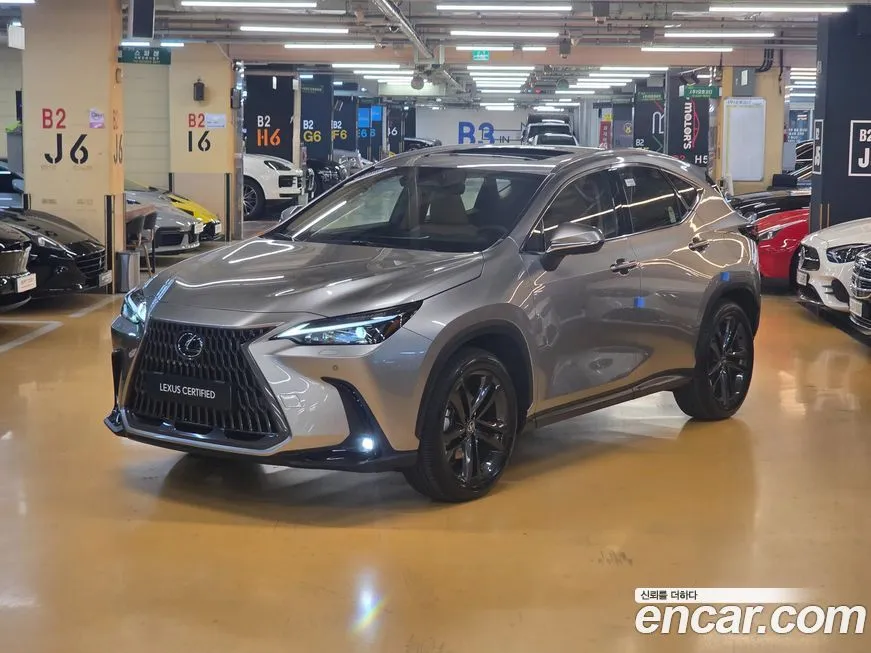 Lexus NX 2025 из KR, фото 1