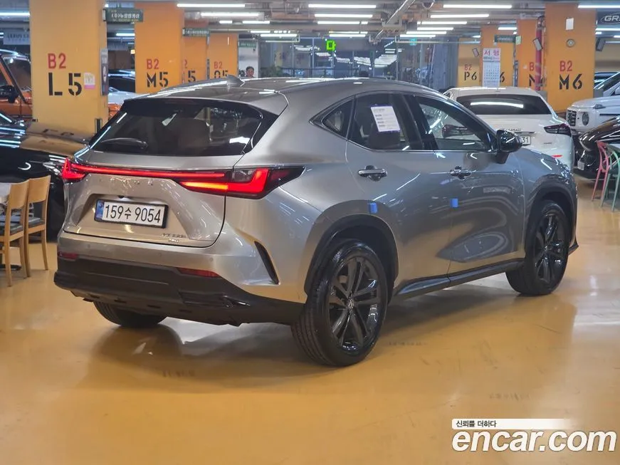 Lexus NX 2025 из KR, фото 4