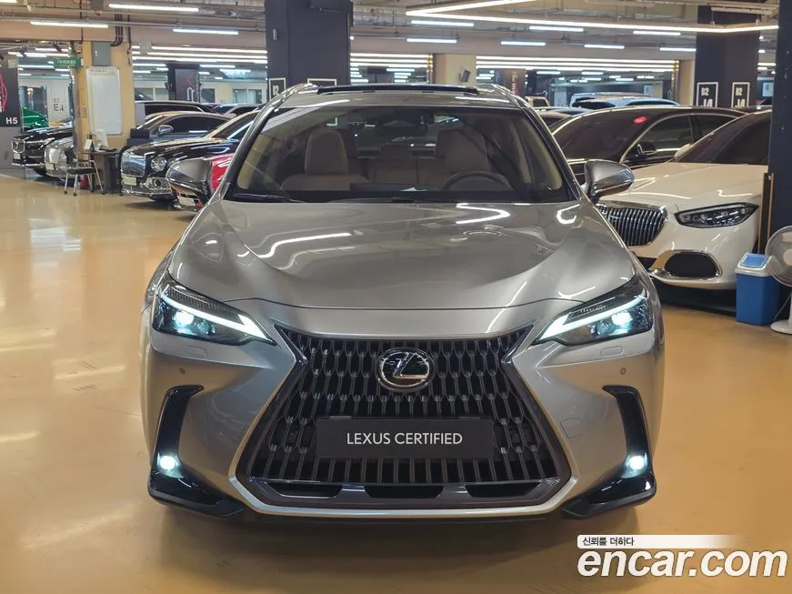 Lexus NX 2025 из KR, фото 9