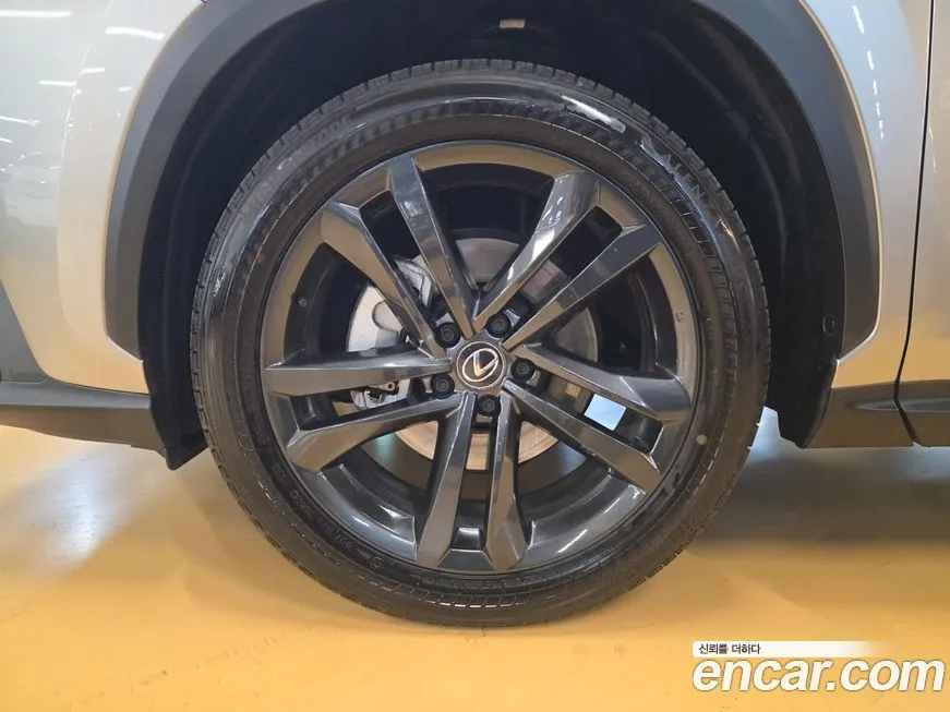 Lexus NX 2025 из KR, фото 5