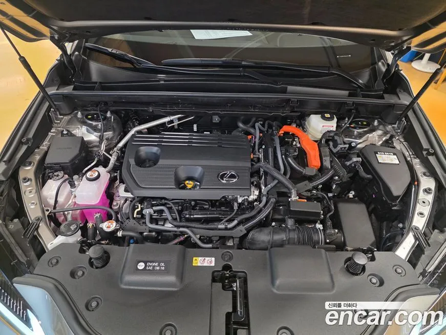 Lexus NX 2025 из KR, фото 8