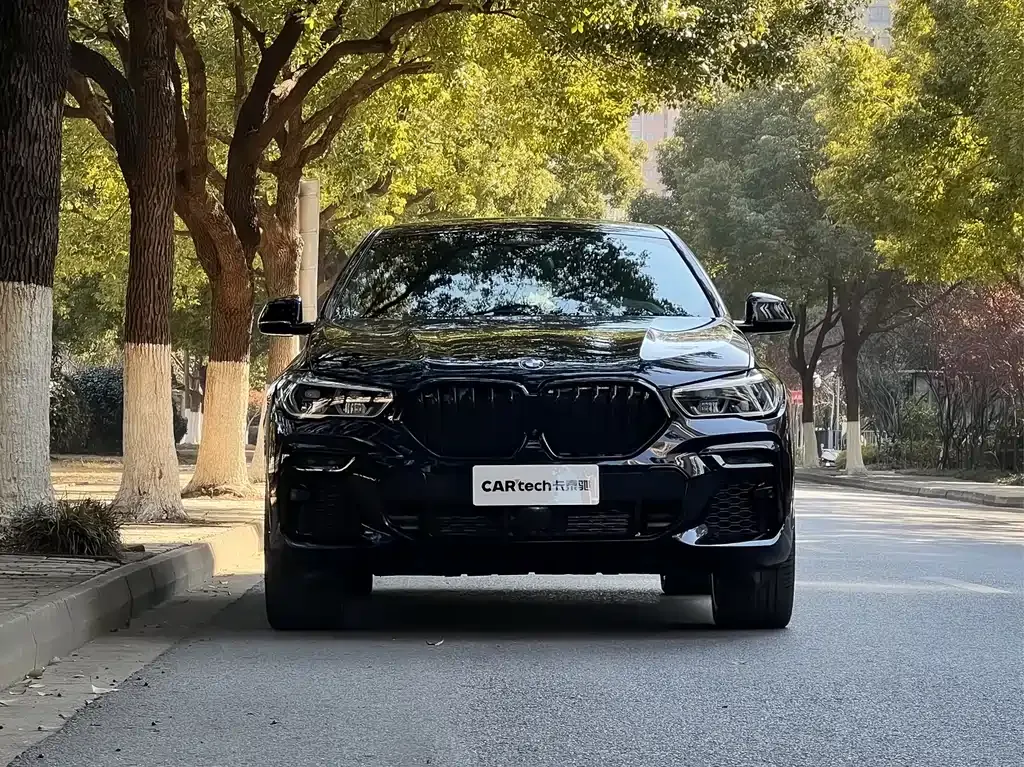 BMW X6 2023 из CN, фото 10