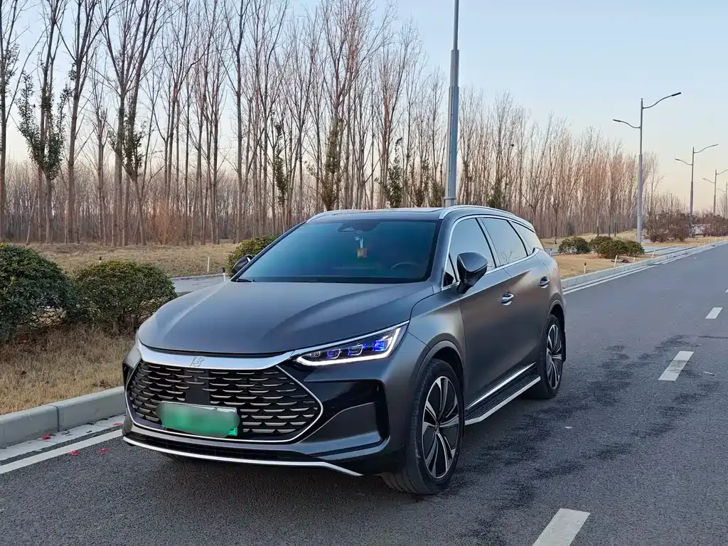 BYD Tang New Energy 2022 из CN, фото 1