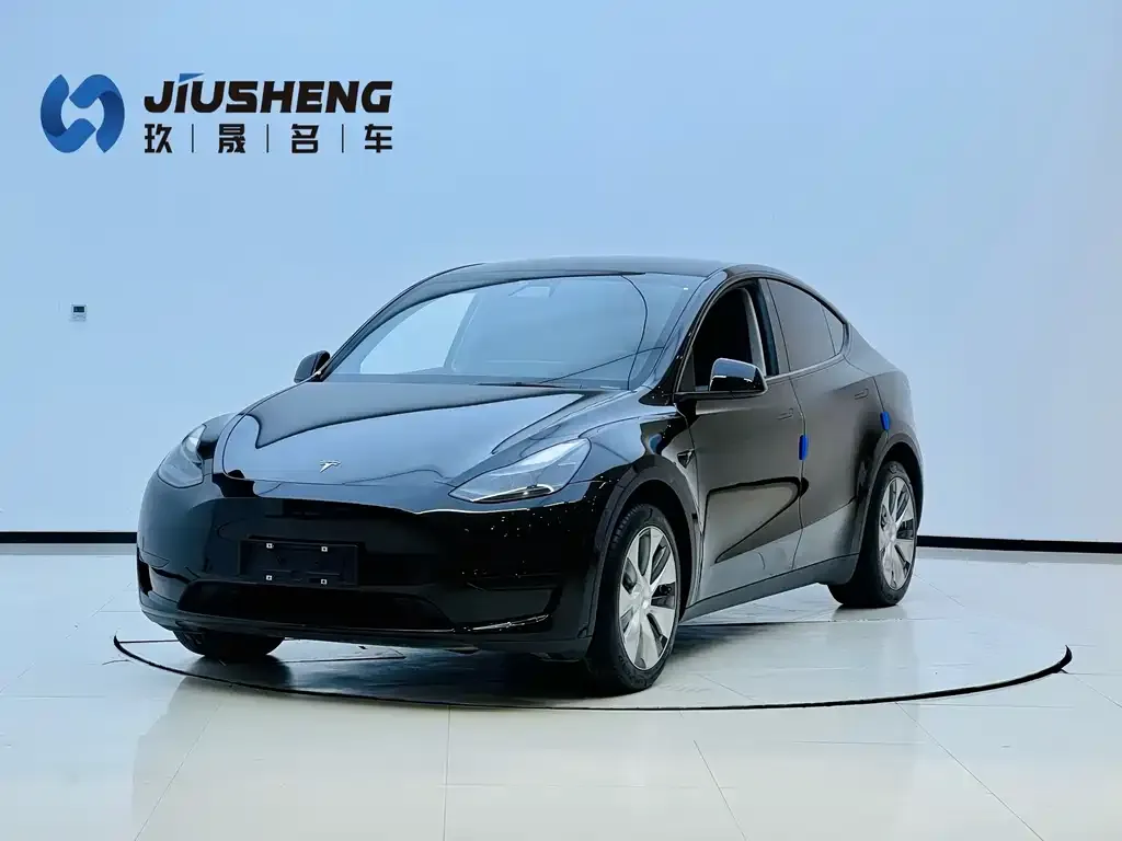 Tesla Model Y 2022 из CN, фото 1