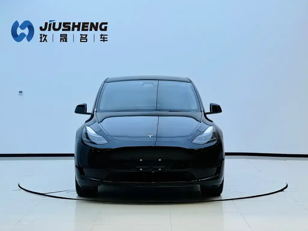 Tesla Model Y 2022 из CN, фото 6