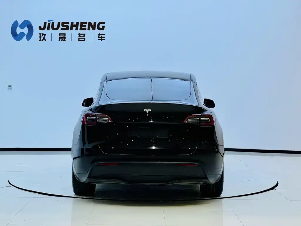 Tesla Model Y 2022 из CN, фото 3