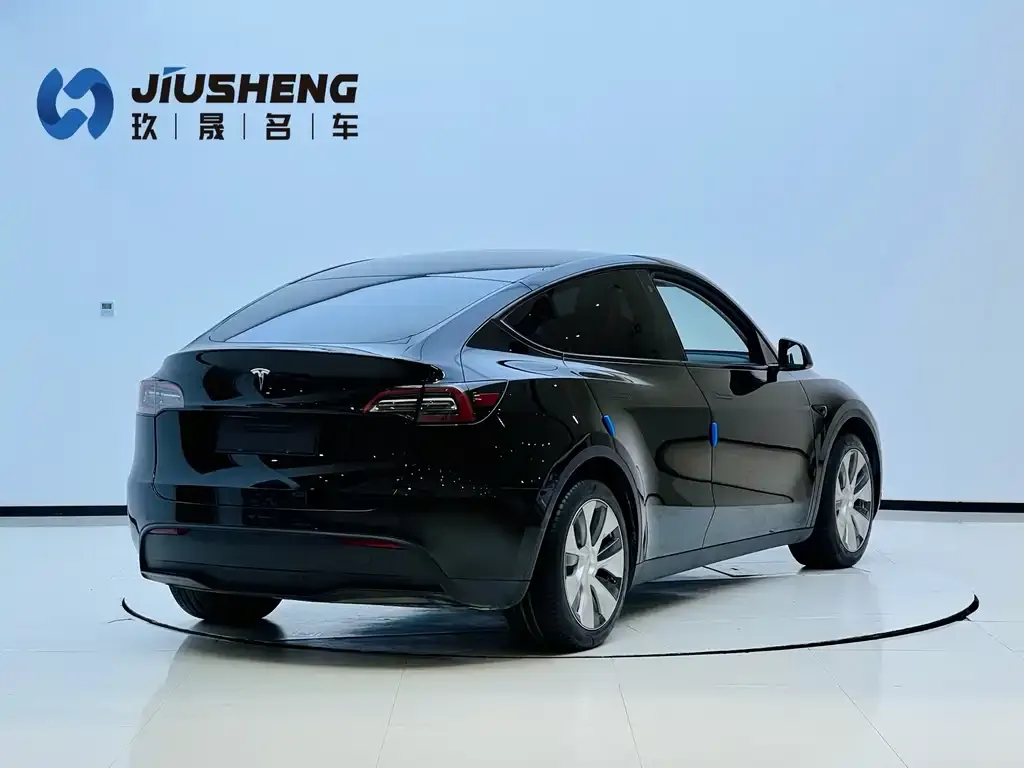 Tesla Model Y 2022 из CN, фото 4