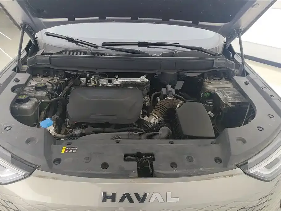 Haval Xiaolong MAX — фото 9