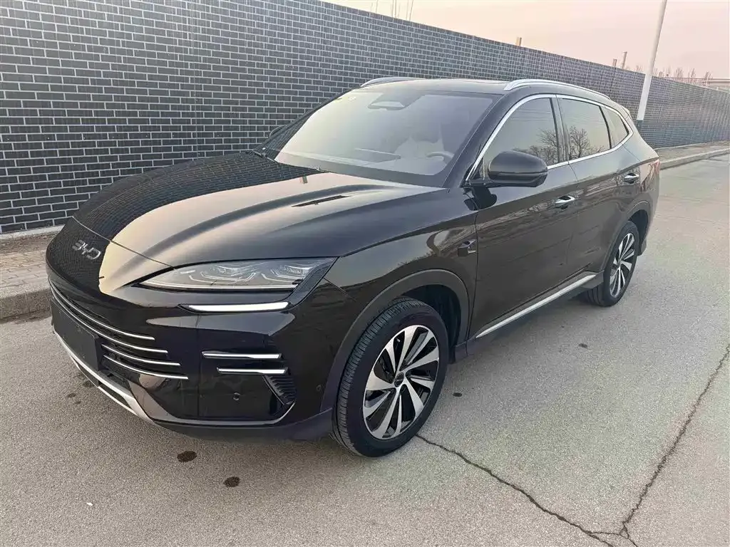 BYD PLUS New Energy 2025 из CN, фото 1