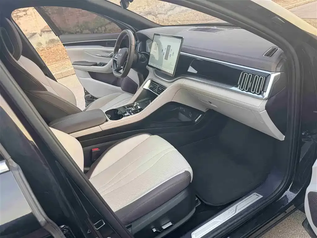 BYD PLUS New Energy 2025 из CN, фото 10