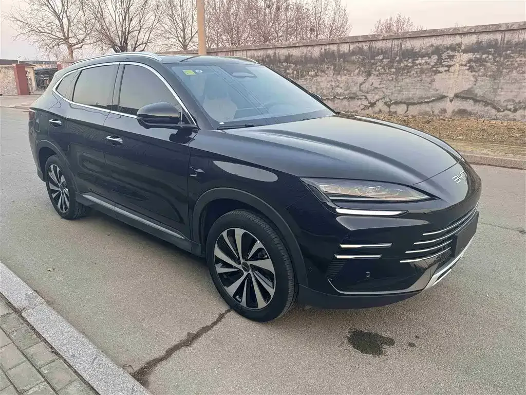 BYD PLUS New Energy 2025 из CN, фото 8