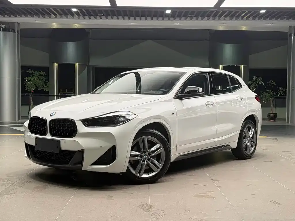 BMW X2 2023 из CN, фото 1