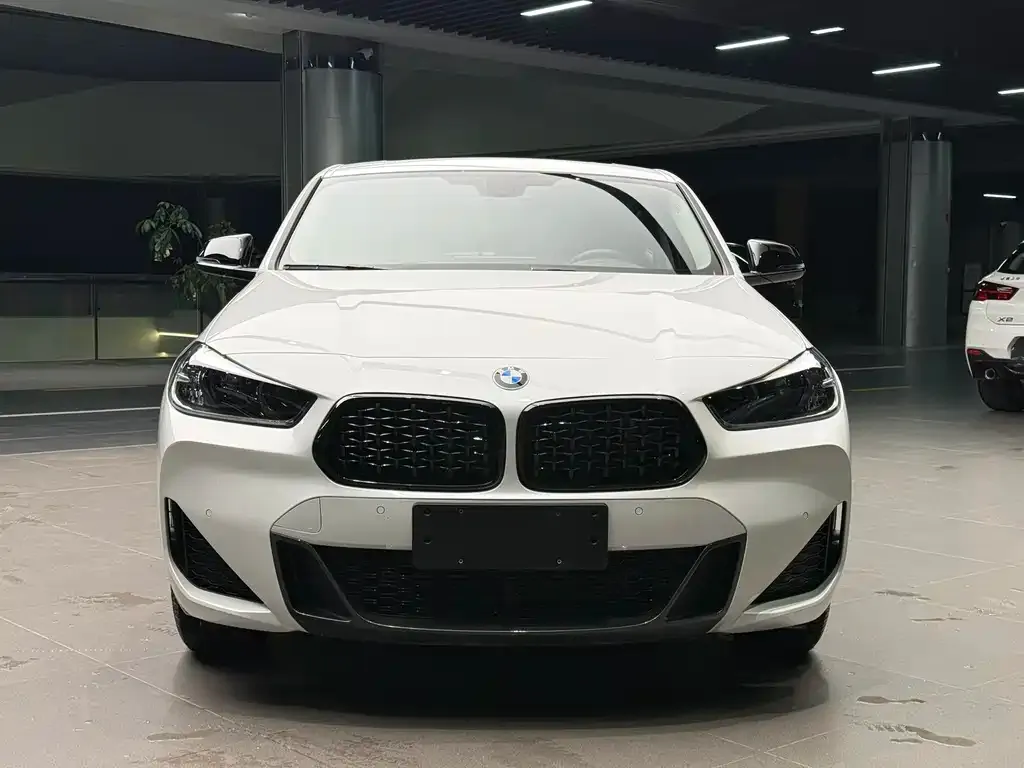 BMW X2 2023 из CN, фото 5