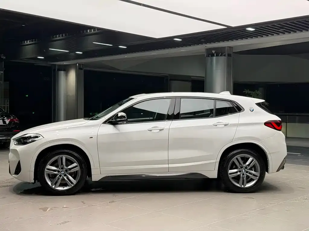 BMW X2 2023 из CN, фото 8