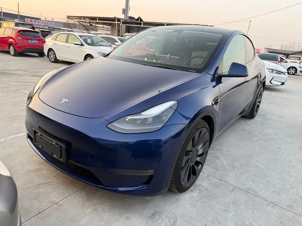 Tesla Model Y 2021 из CN, фото 1