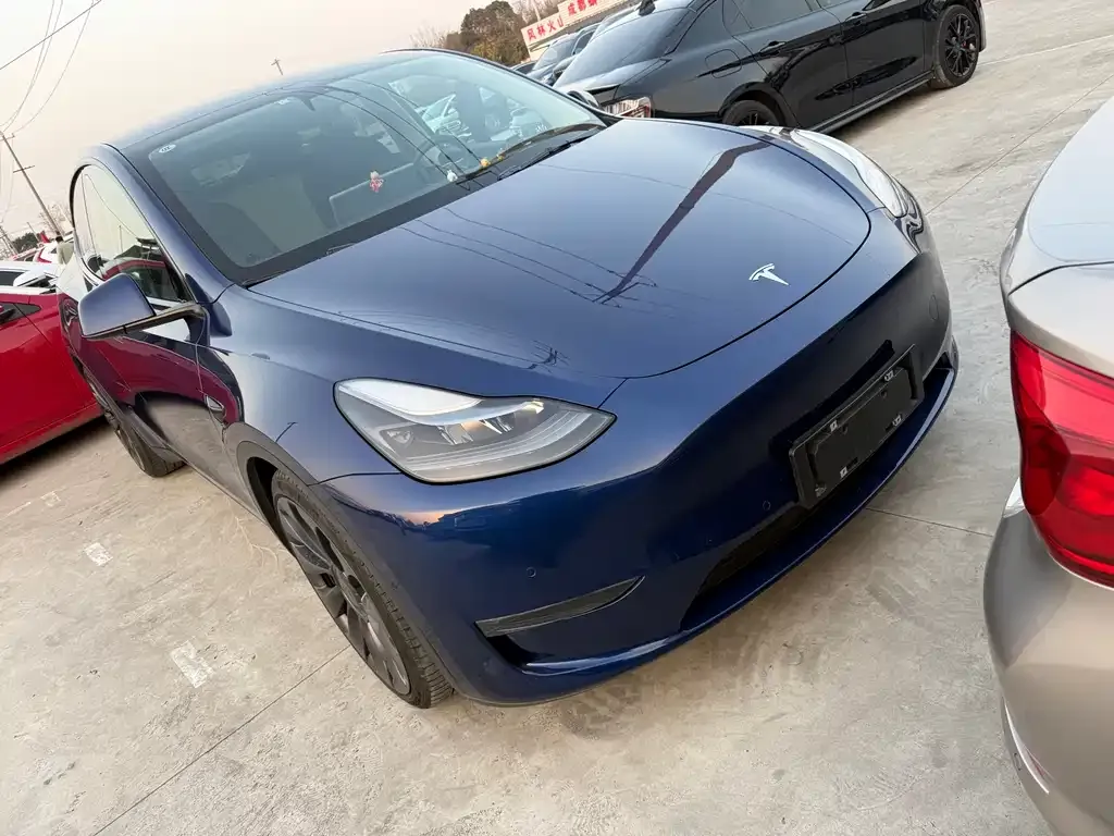 Tesla Model Y 2021 из CN, фото 10