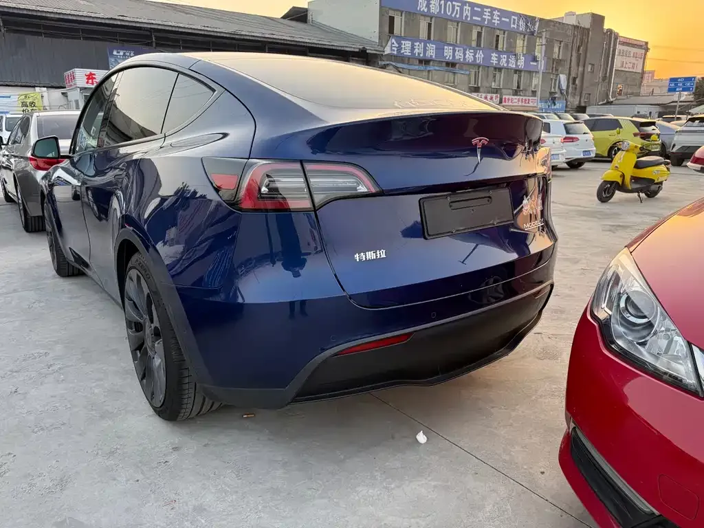 Tesla Model Y 2021 из CN, фото 4