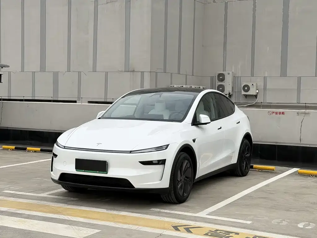 Tesla Model Y 2025 из CN, фото 1