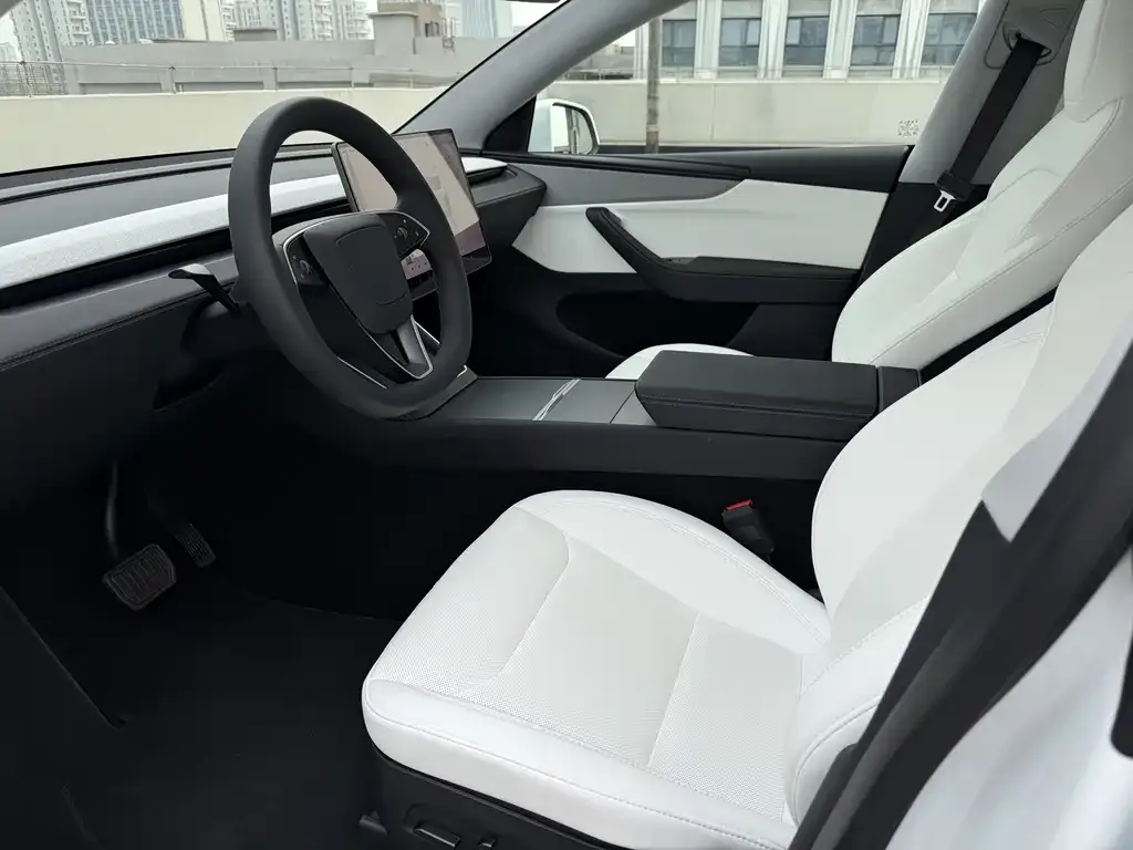 Tesla Model Y 2025 из CN, фото 5
