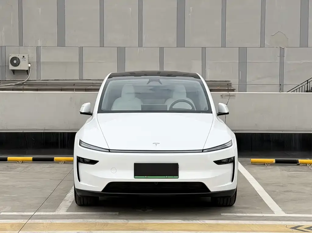 Tesla Model Y 2025 из CN, фото 3
