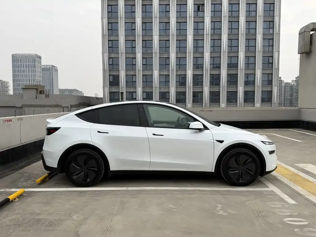 Tesla Model Y 2025 из CN, фото 4