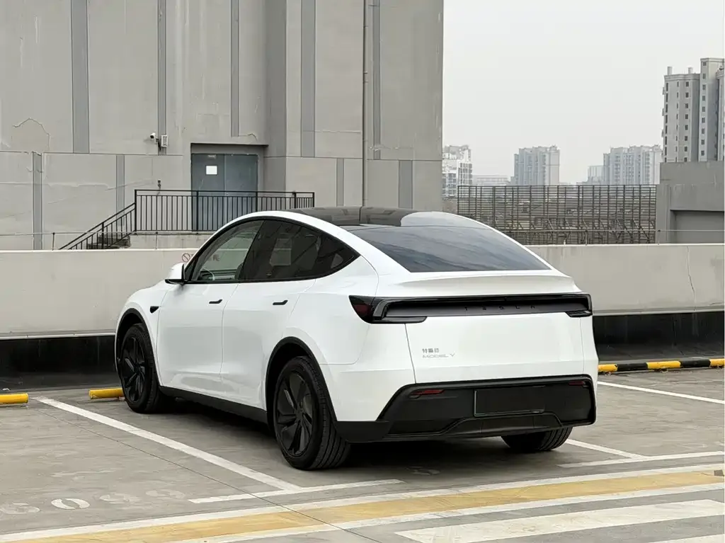 Tesla Model Y 2025 из CN, фото 8
