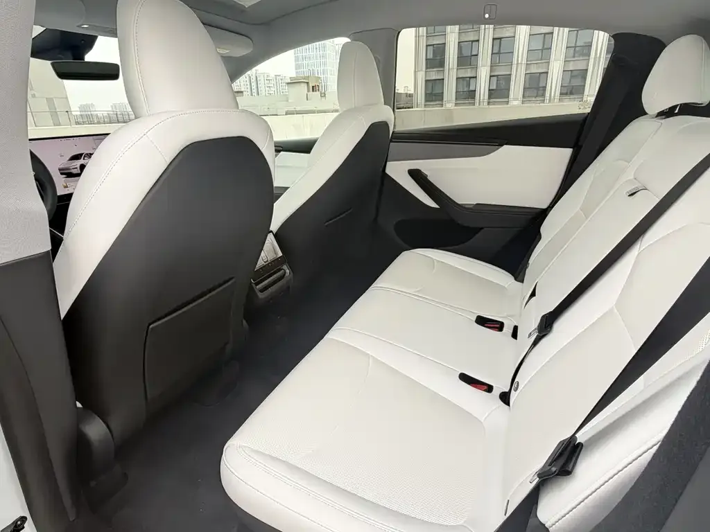 Tesla Model Y 2025 из CN, фото 7