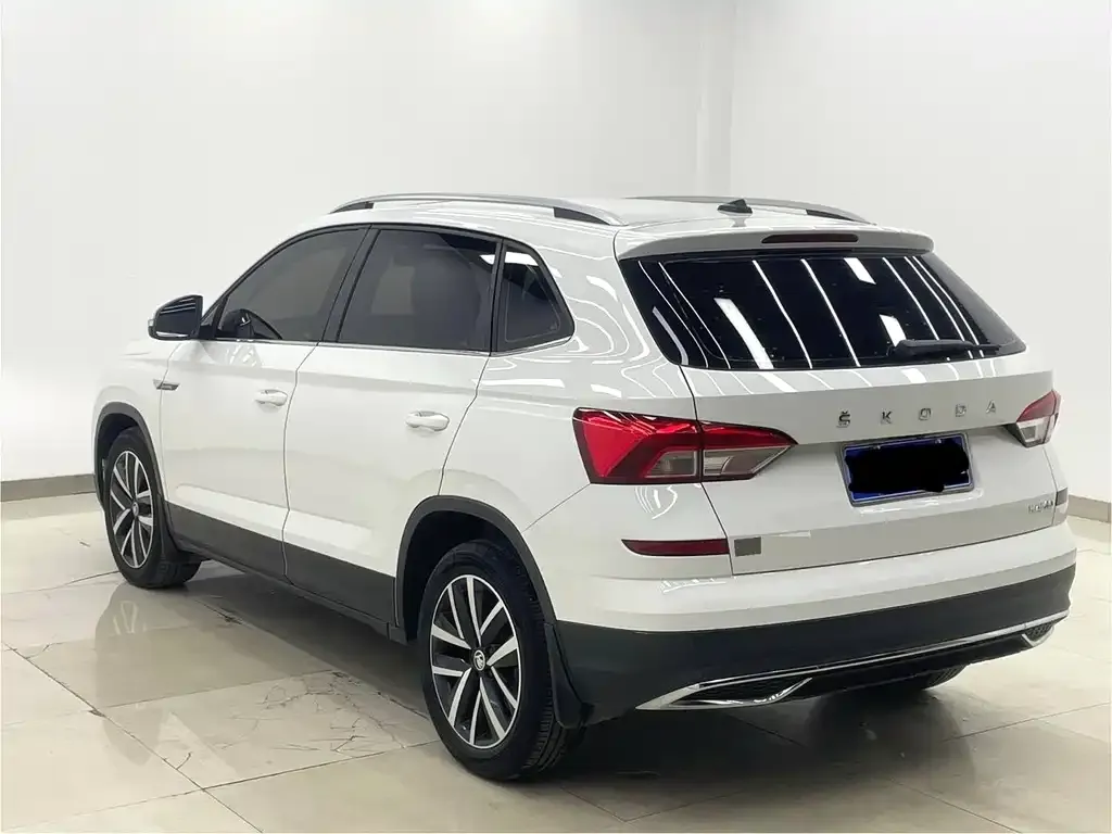 Skoda Kamiq 2021 из CN, фото 6