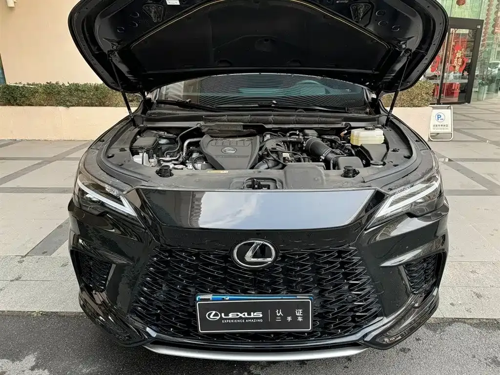 Lexus RX — фото 10