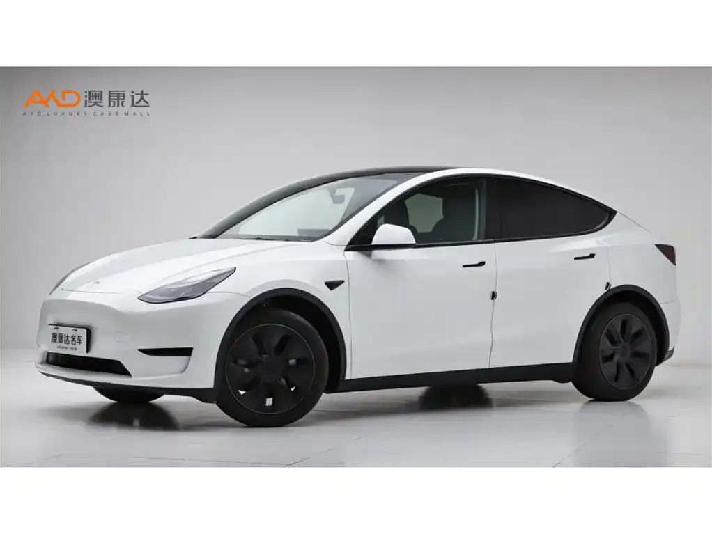 Tesla Model Y 2024 из CN, фото 1