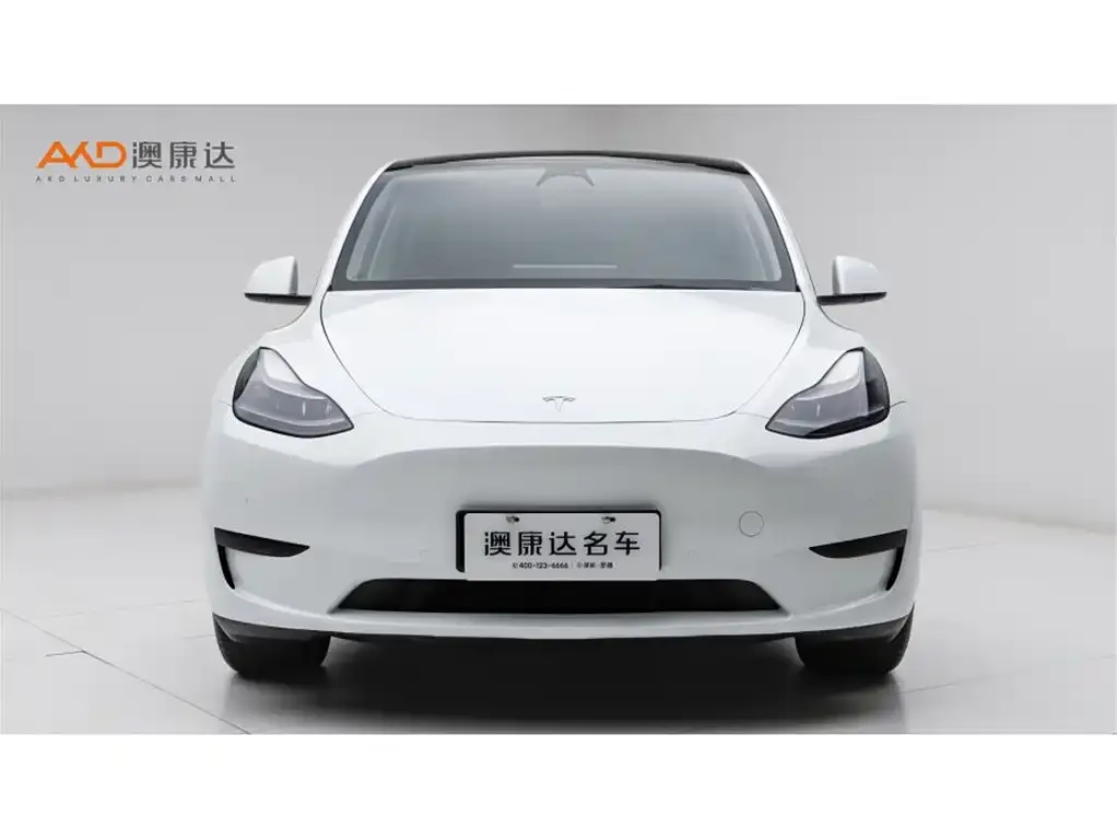 Tesla Model Y 2024 из CN, фото 6
