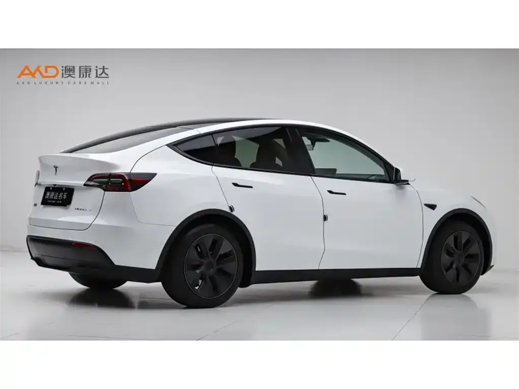 Tesla Model Y 2024 из CN, фото 4