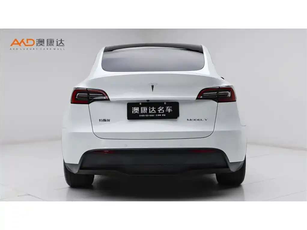 Tesla Model Y 2024 из CN, фото 3