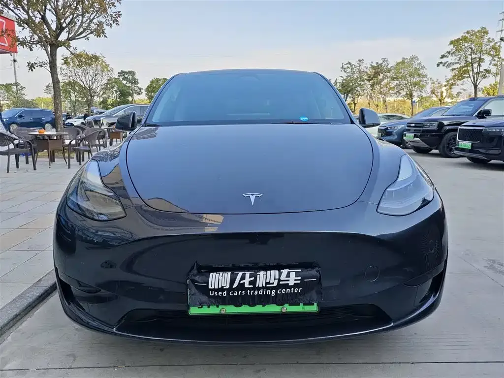 Tesla Model Y 2024 из CN, фото 6