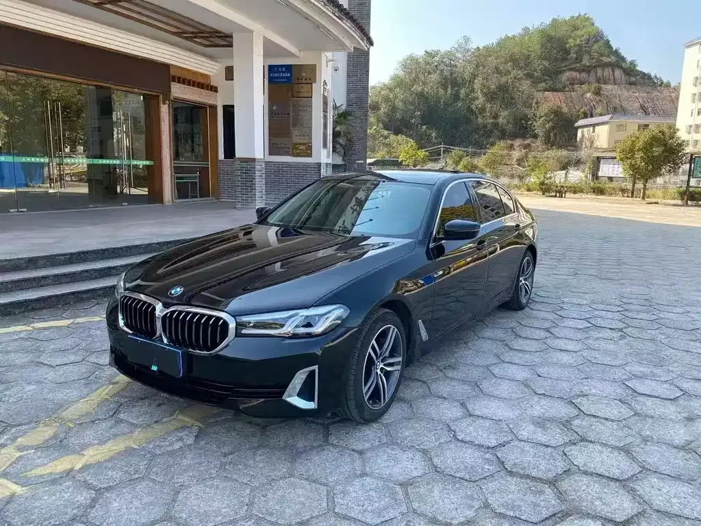 BMW 5 Series 2021 из CN, фото 1