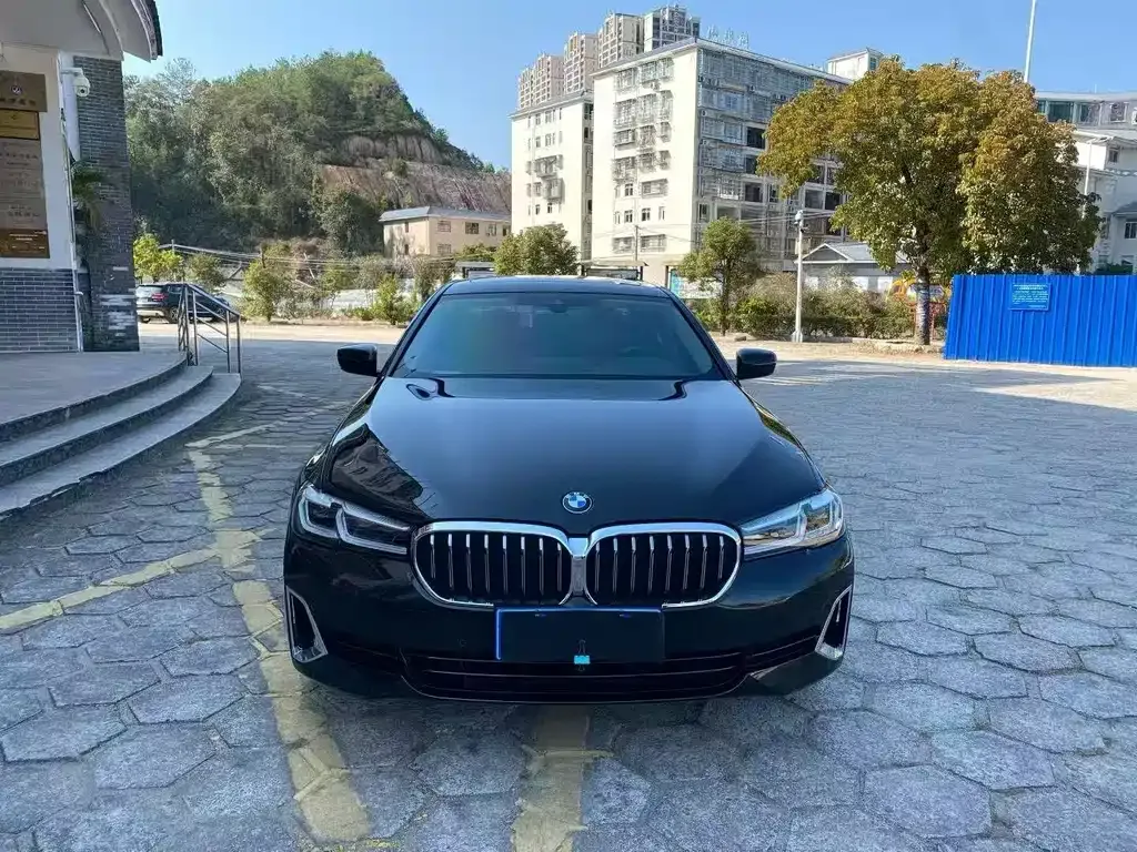 BMW 5 Series 2021 из CN, фото 5