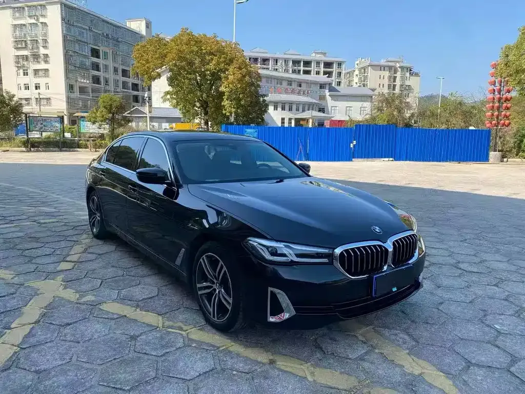 BMW 5 Series 2021 из CN, фото 8