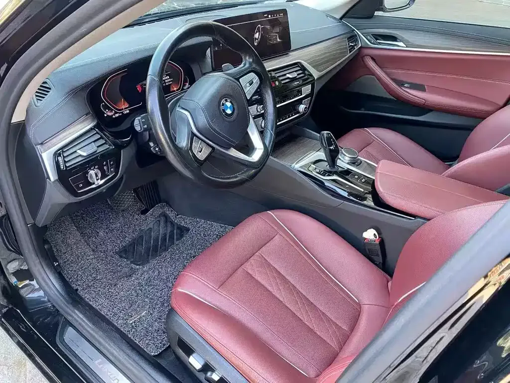 BMW 5 Series 2021 из CN, фото 7