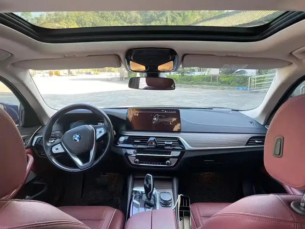 BMW 5 Series 2021 из CN, фото 4