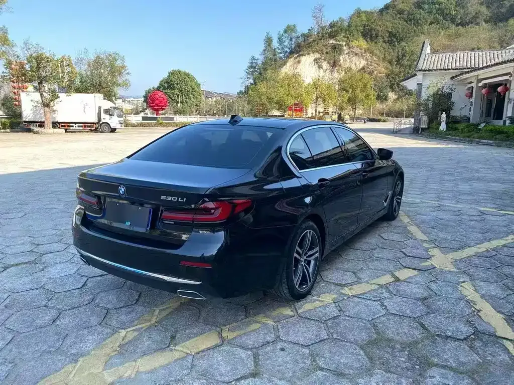 BMW 5 Series 2021 из CN, фото 3