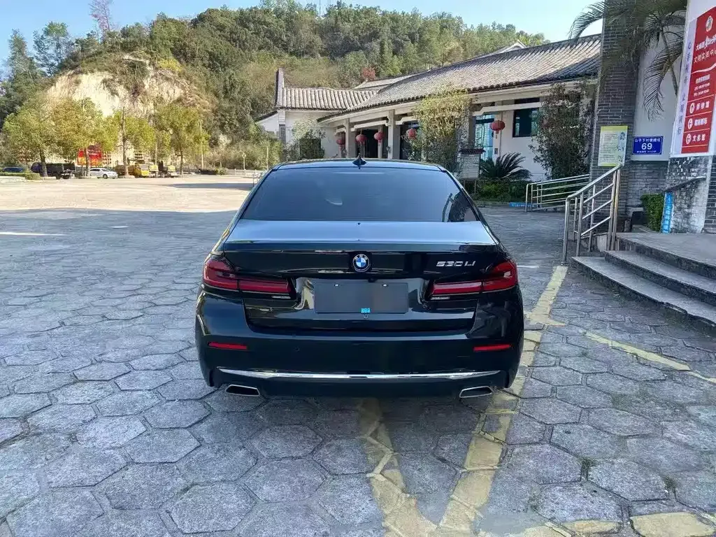 BMW 5 Series 2021 из CN, фото 6