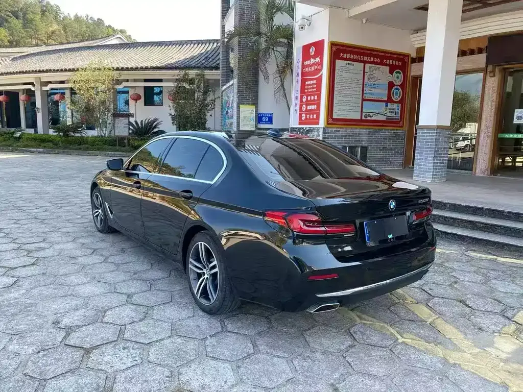 BMW 5 Series 2021 из CN, фото 9