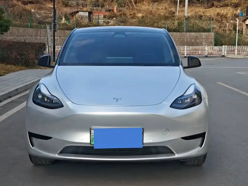 Tesla Model Y — фото 1